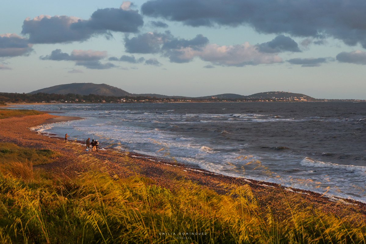 Cuál de las 4 les gusta más ?

Justo esos días, todo tenía textura de pintura 🎨 
#piriápolis