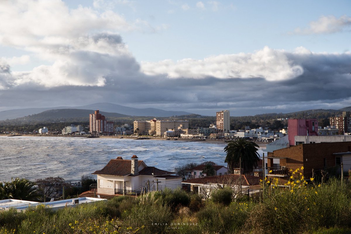 Emilia Domínguez tweet media