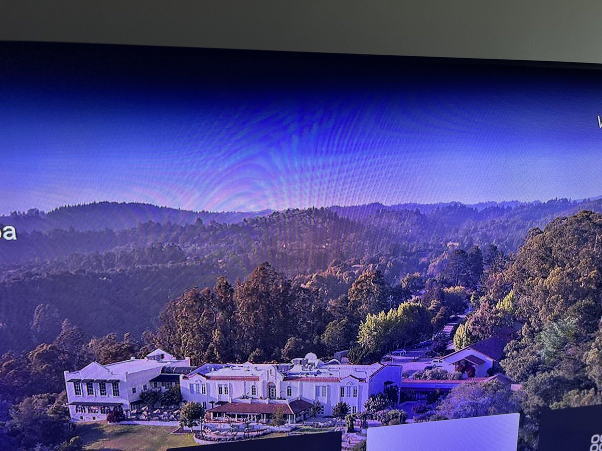 Cynthia Lopez tweet media