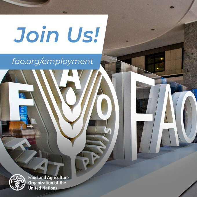 FAOJapan's tweet photo. 📝#国際機関 で働いてみませんか❓

#国連食糧農業機関(@FAO)は、より良い生産、栄養、環境、そして生活のために、誰一人取り残さない #持続可能 な農業食料システムの変革に取り組んでいます。  

#採用 情報
👉https://t.co/HtH1ByMp8a

#国連 #国際機関で働こう @FAOJobs https://t.co/qCeIXItfkN