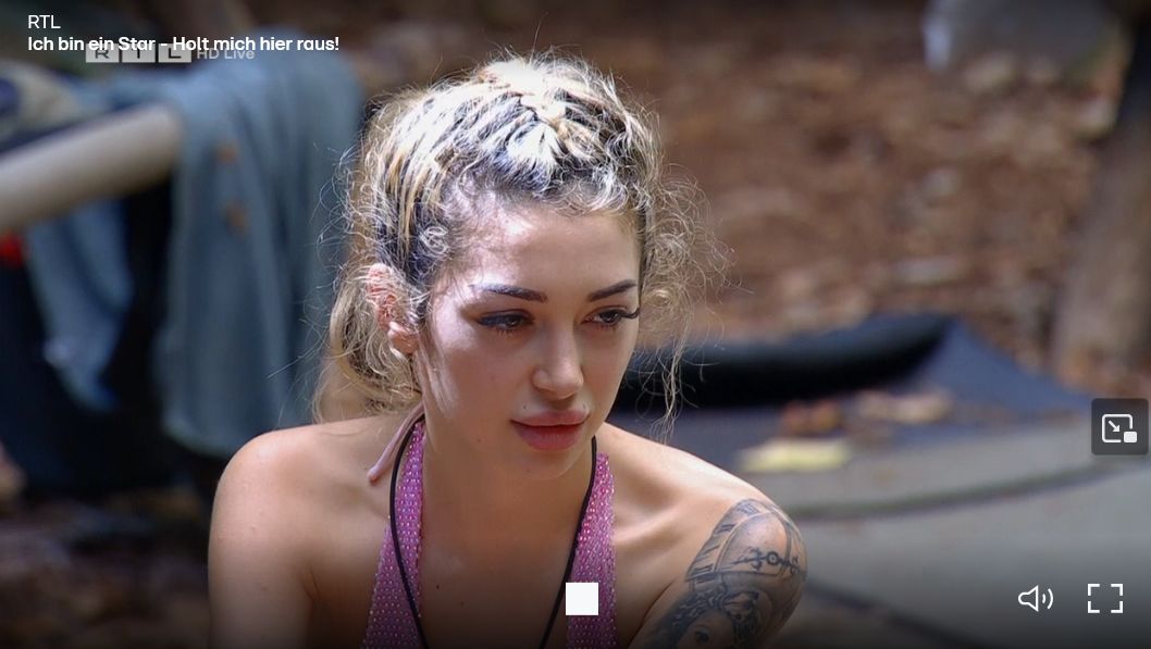 Silberrücken tweet media