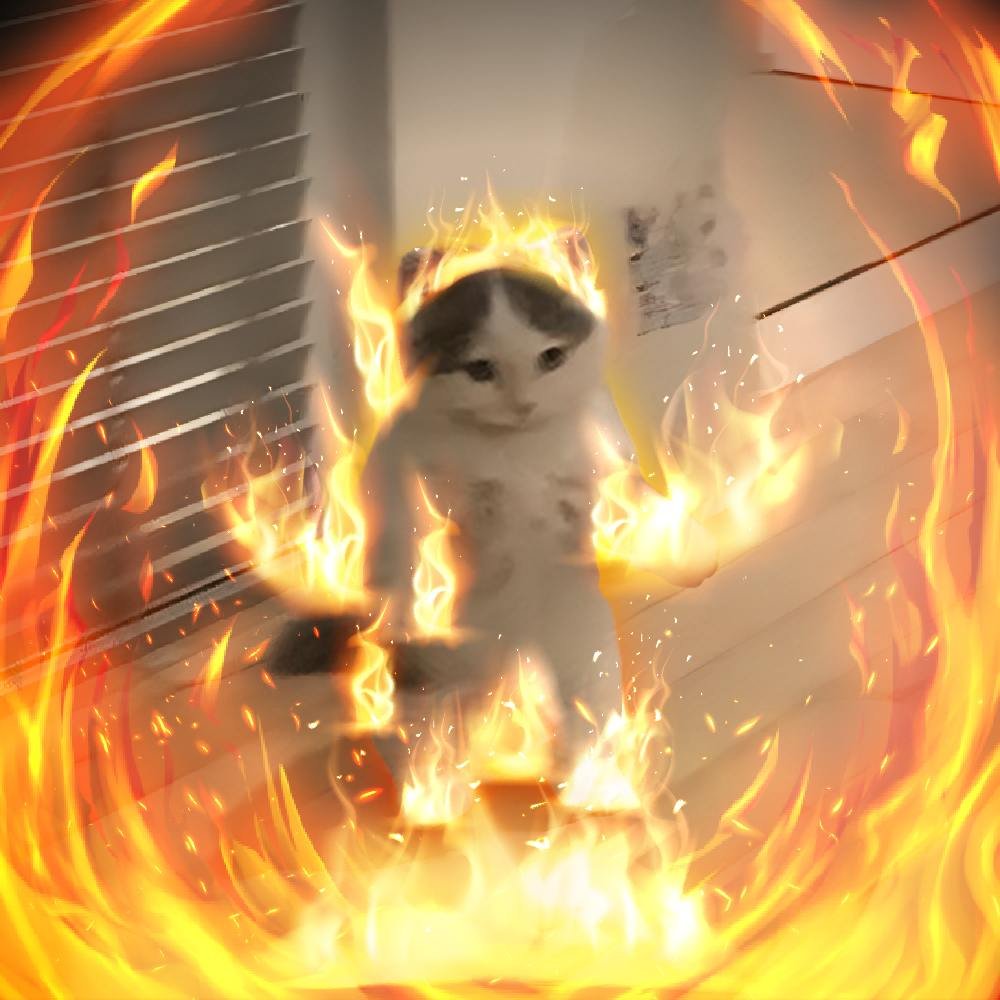 $michi is about to rise from the ashes

stay tuned