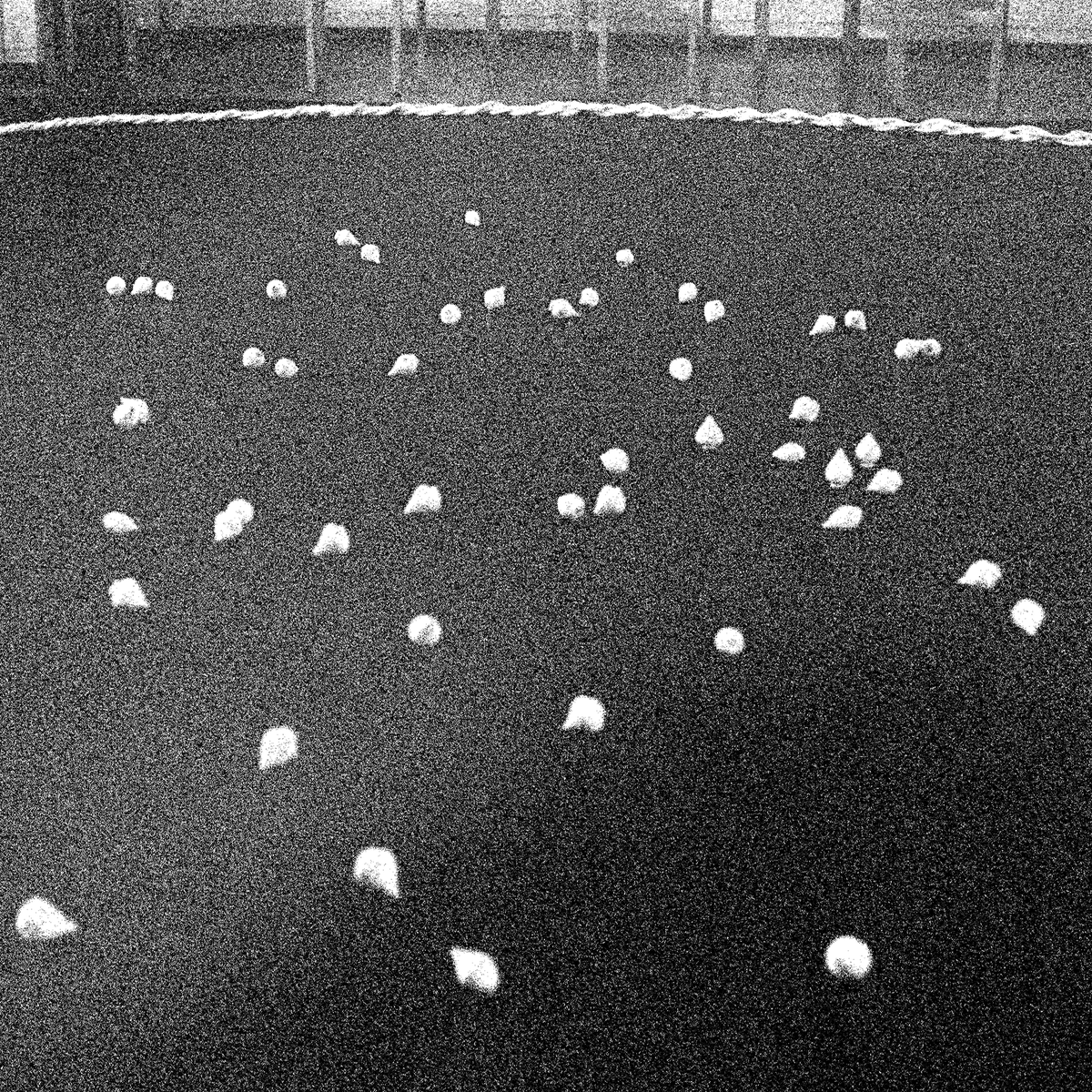 The Trilogy Tapes tweet media