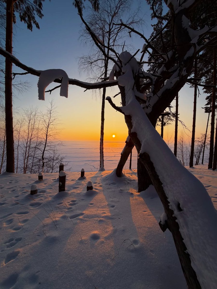 Heimat 𝕊 tweet media