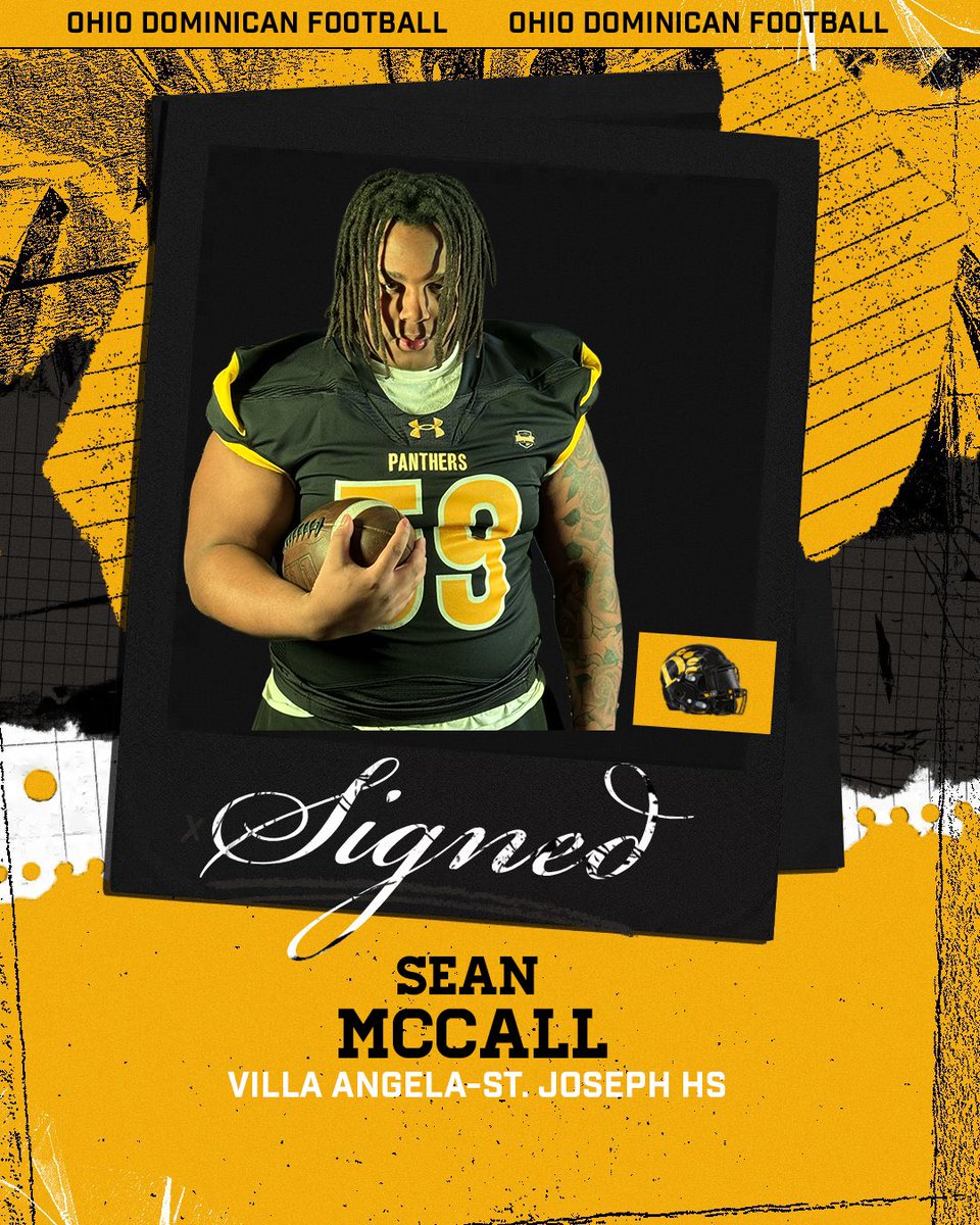 Ohio Dominican Football tweet media