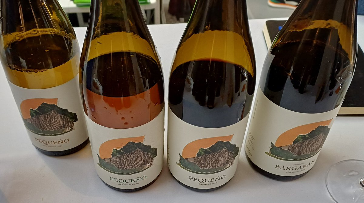 mario canora tweet media