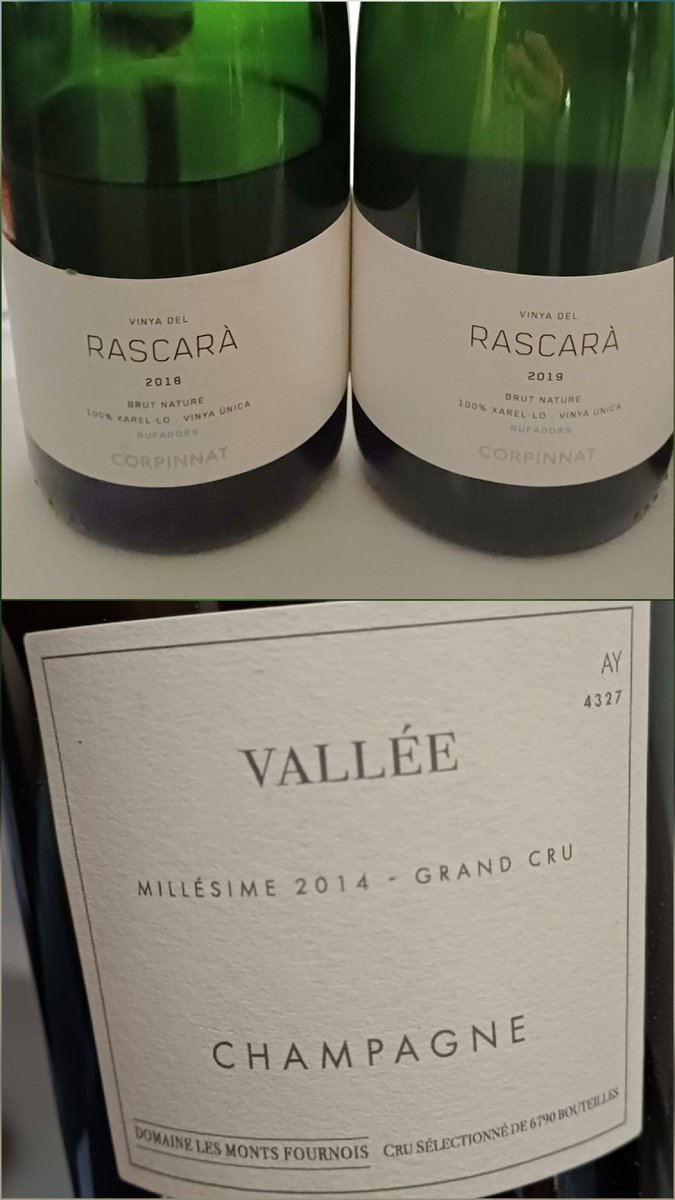 mario canora tweet media