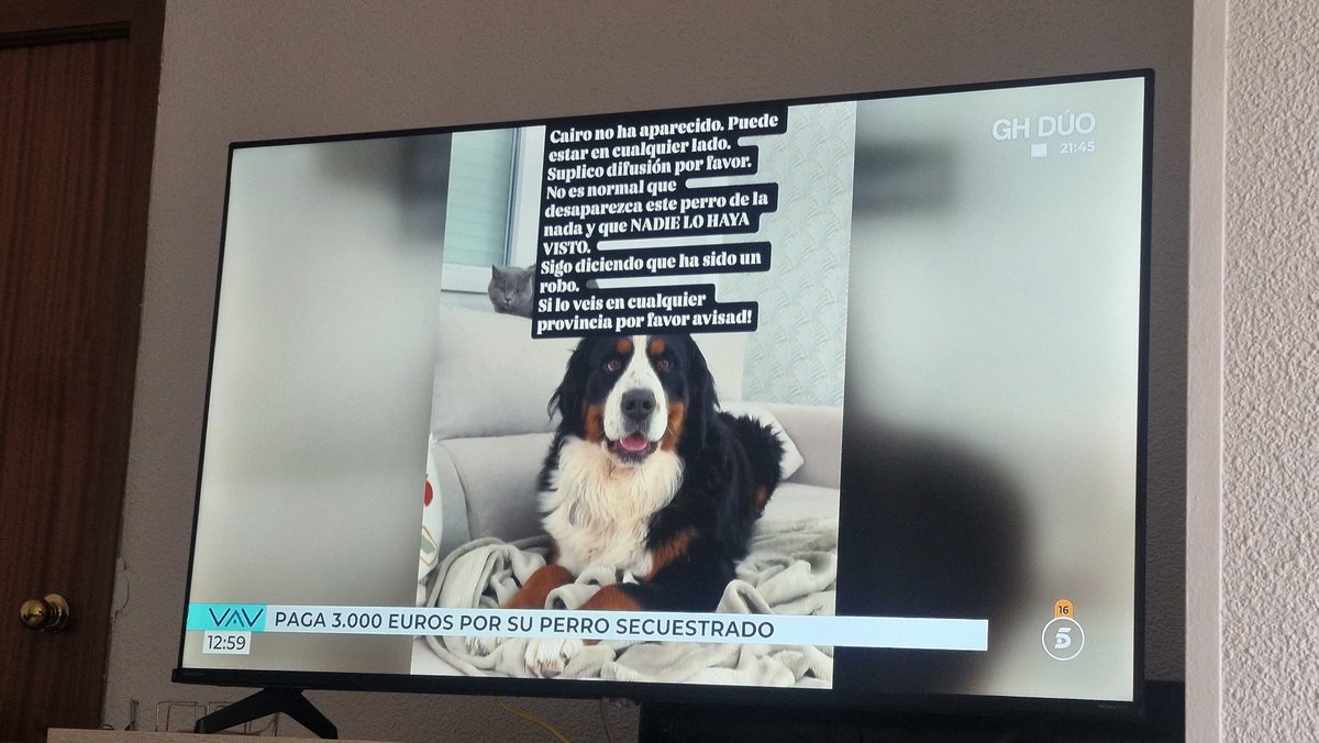 <a href="/cuatro/">Cuatro</a> Necesitamos ayuda para encontrarlo a el tamb!!! Está perdido y tiene cáncer,  por favor, difusión!!!