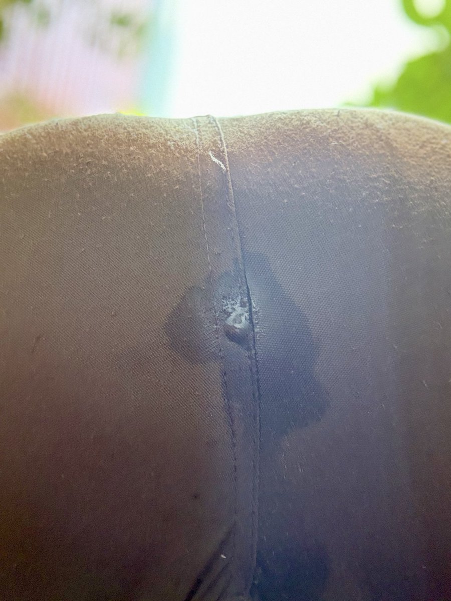 EagerFFunSF tweet media