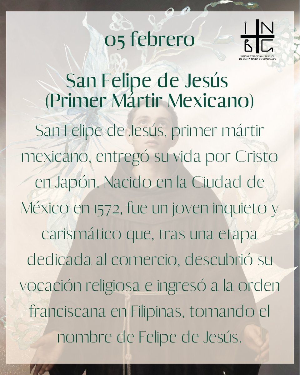 Basílica Guadalupe tweet media