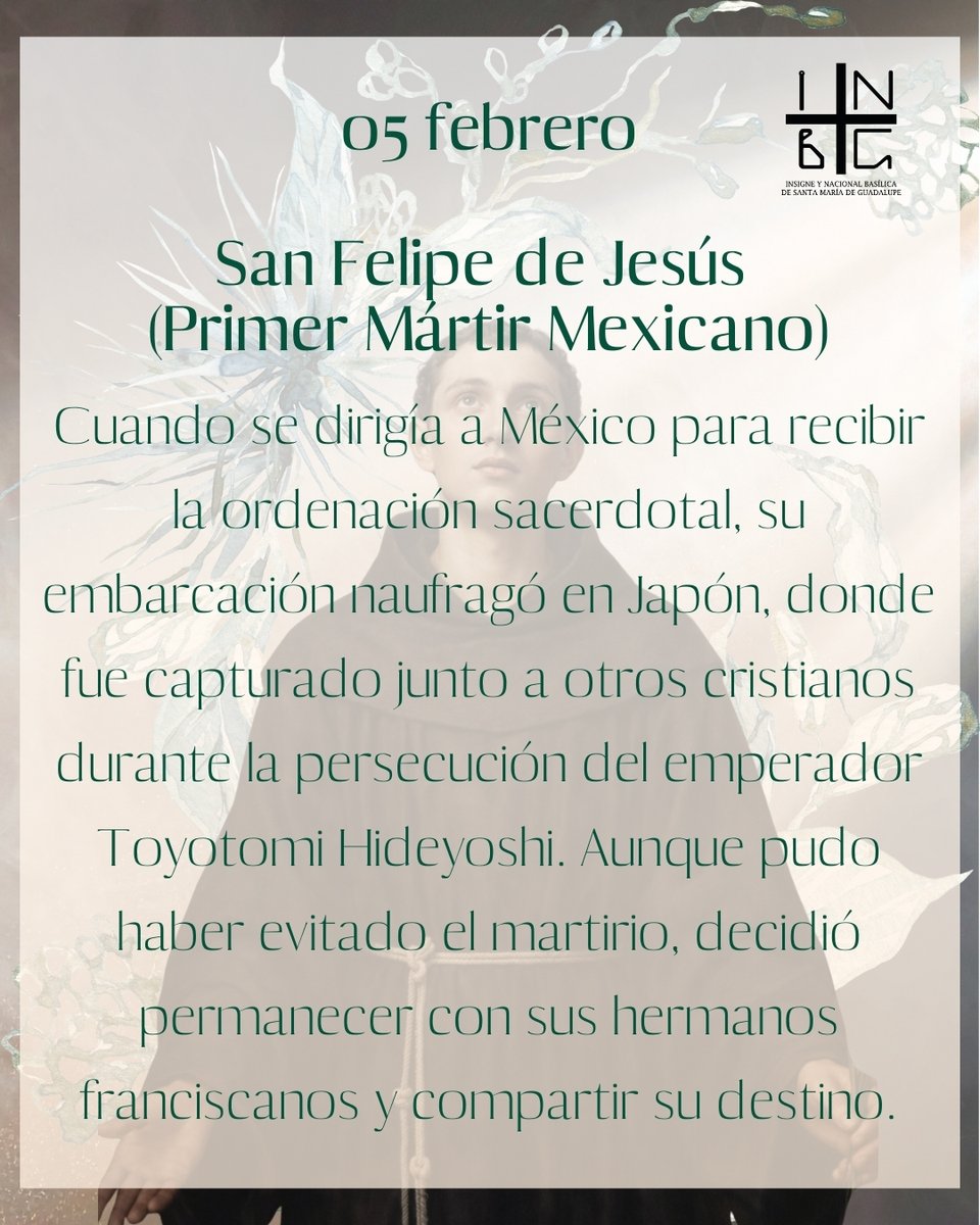 Basílica Guadalupe tweet media