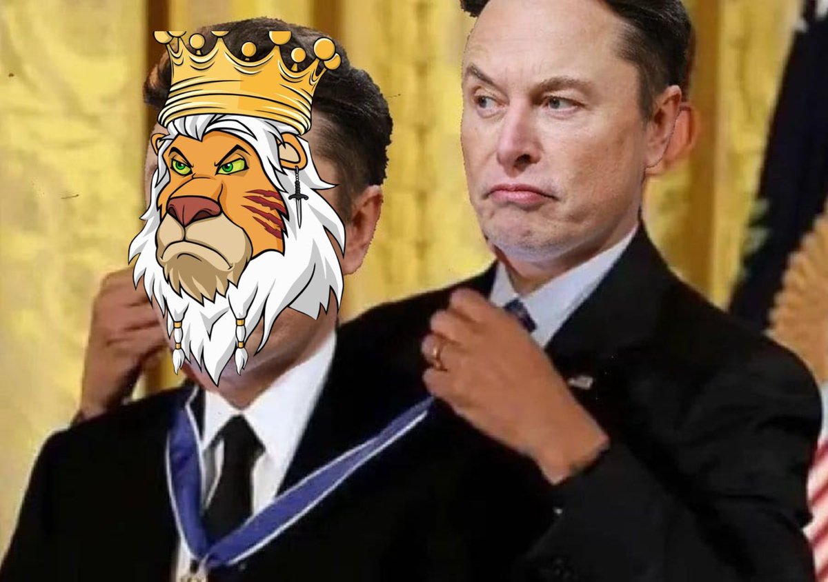 Some things don’t need approval. They already earned it.

Nothing surprising here.
OGs don’t clap. #LAZYLIONS