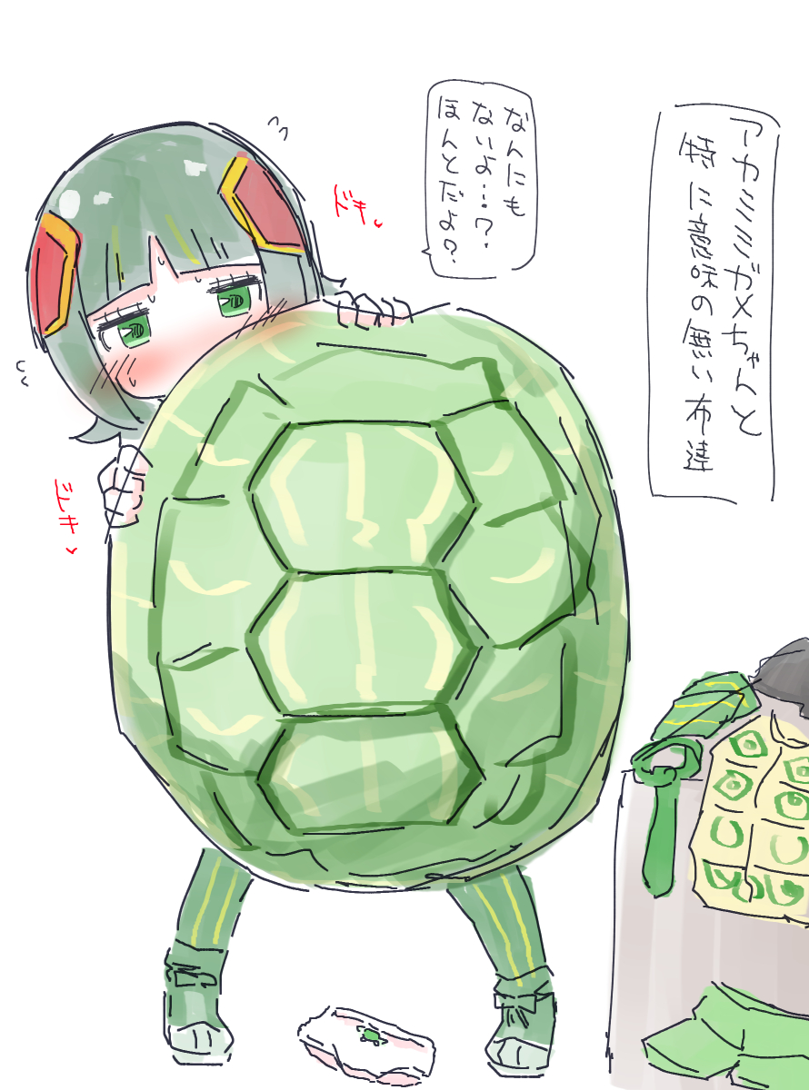 目覚め🐢 