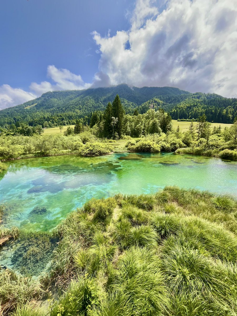 Allez en Slovénie, c'est magnifique !