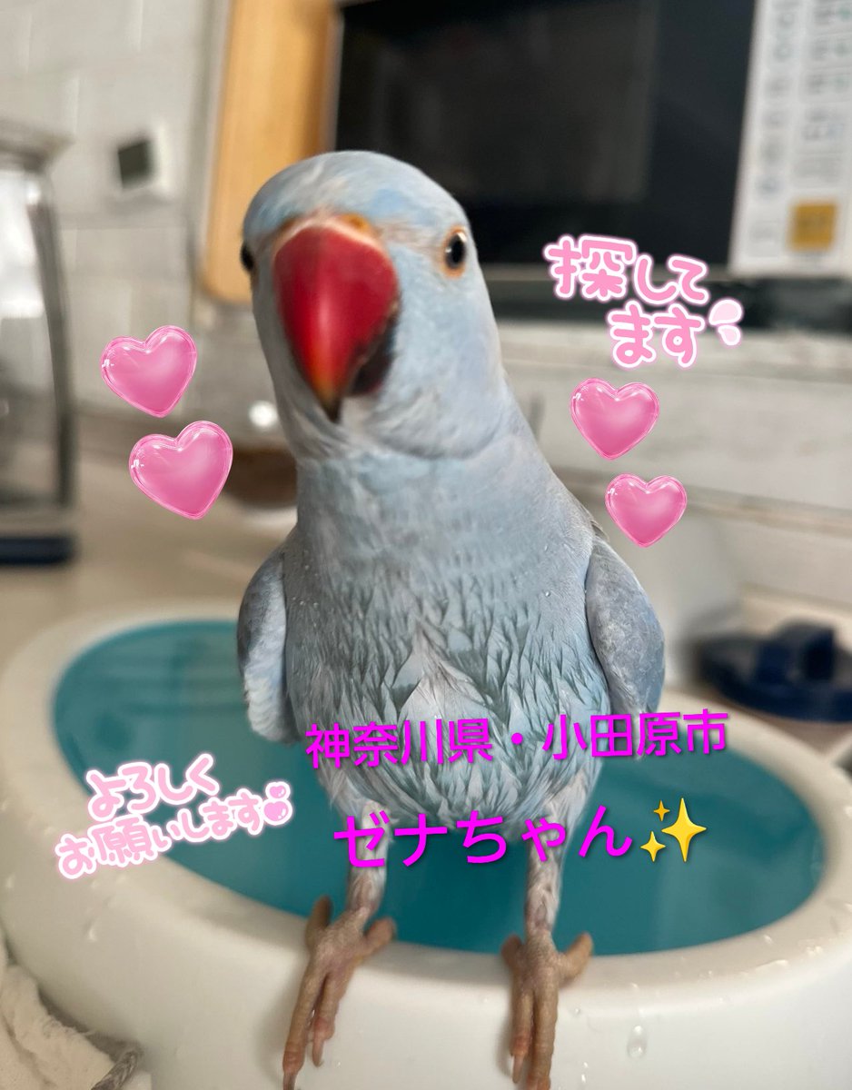 ワンコちゃん☺️ tweet media