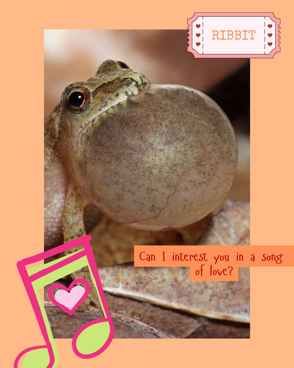 Southeast PARC tweet media