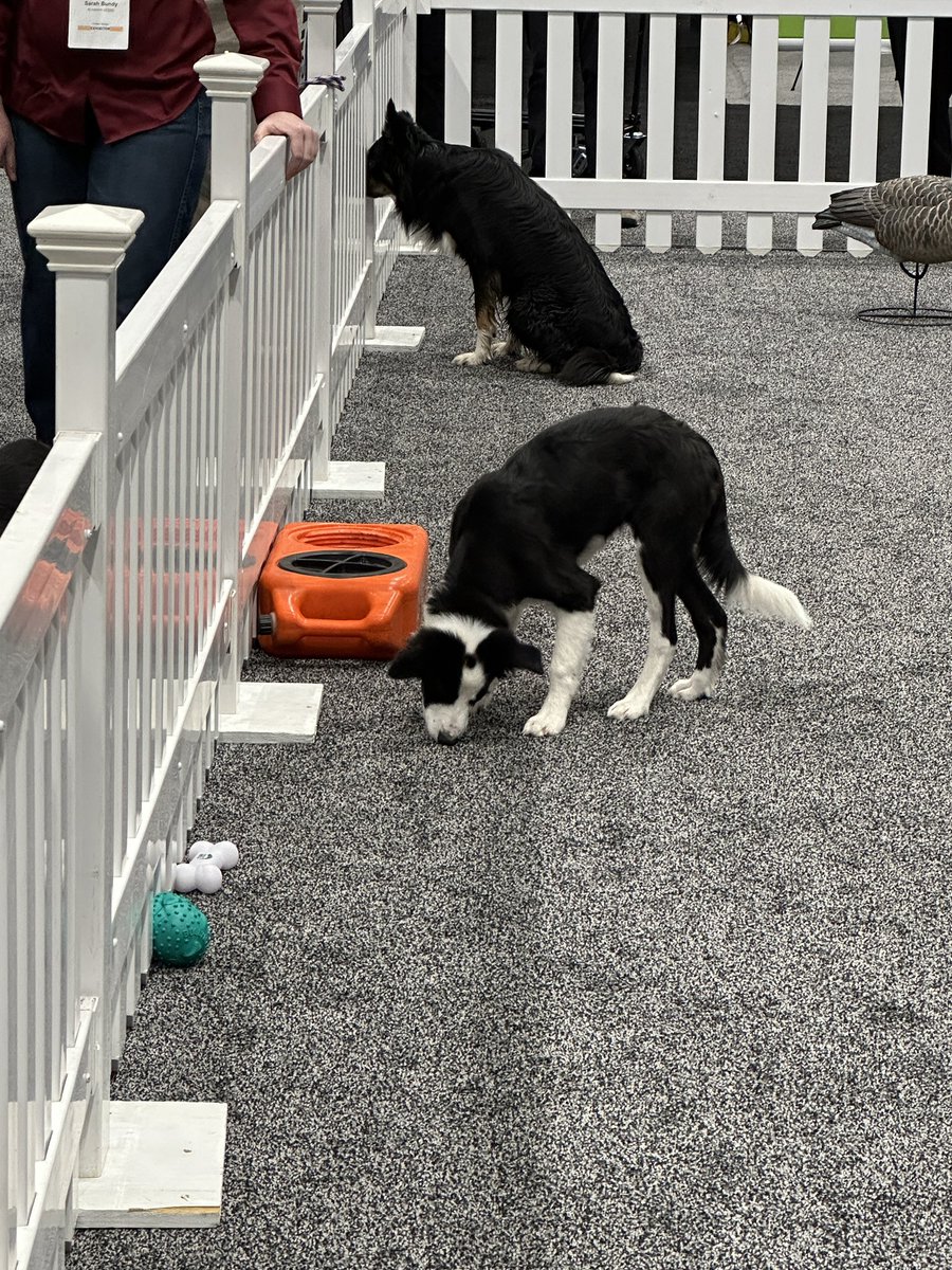 Mel Waldron III tweet media