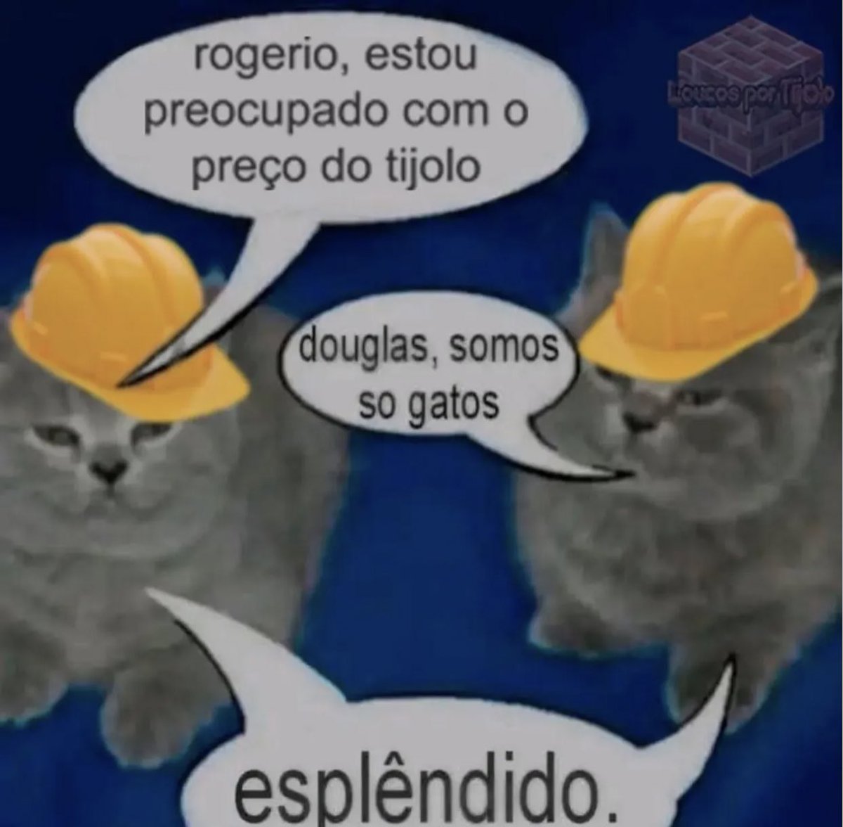 esplêndido.