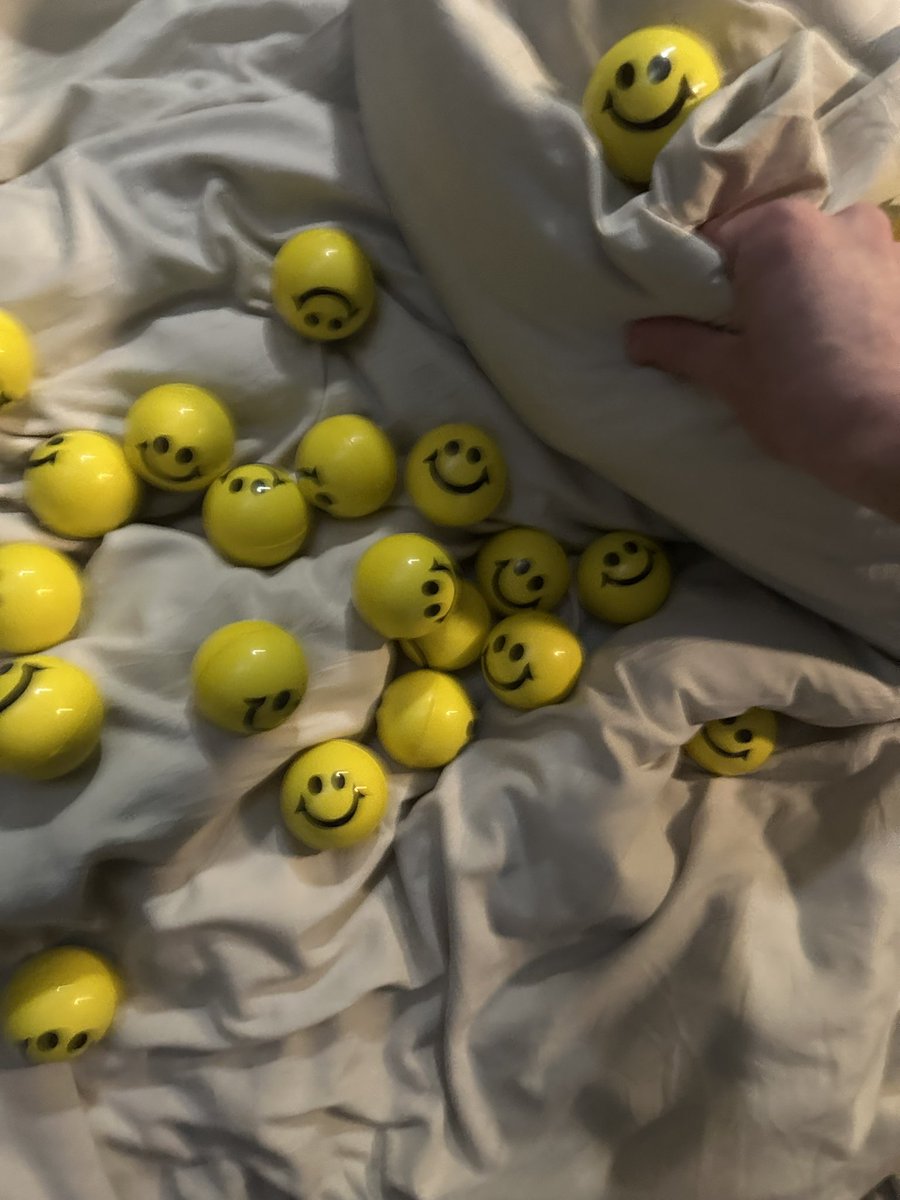 doctornowhere_'s tweet image. Damn it they’ve infested the sheets