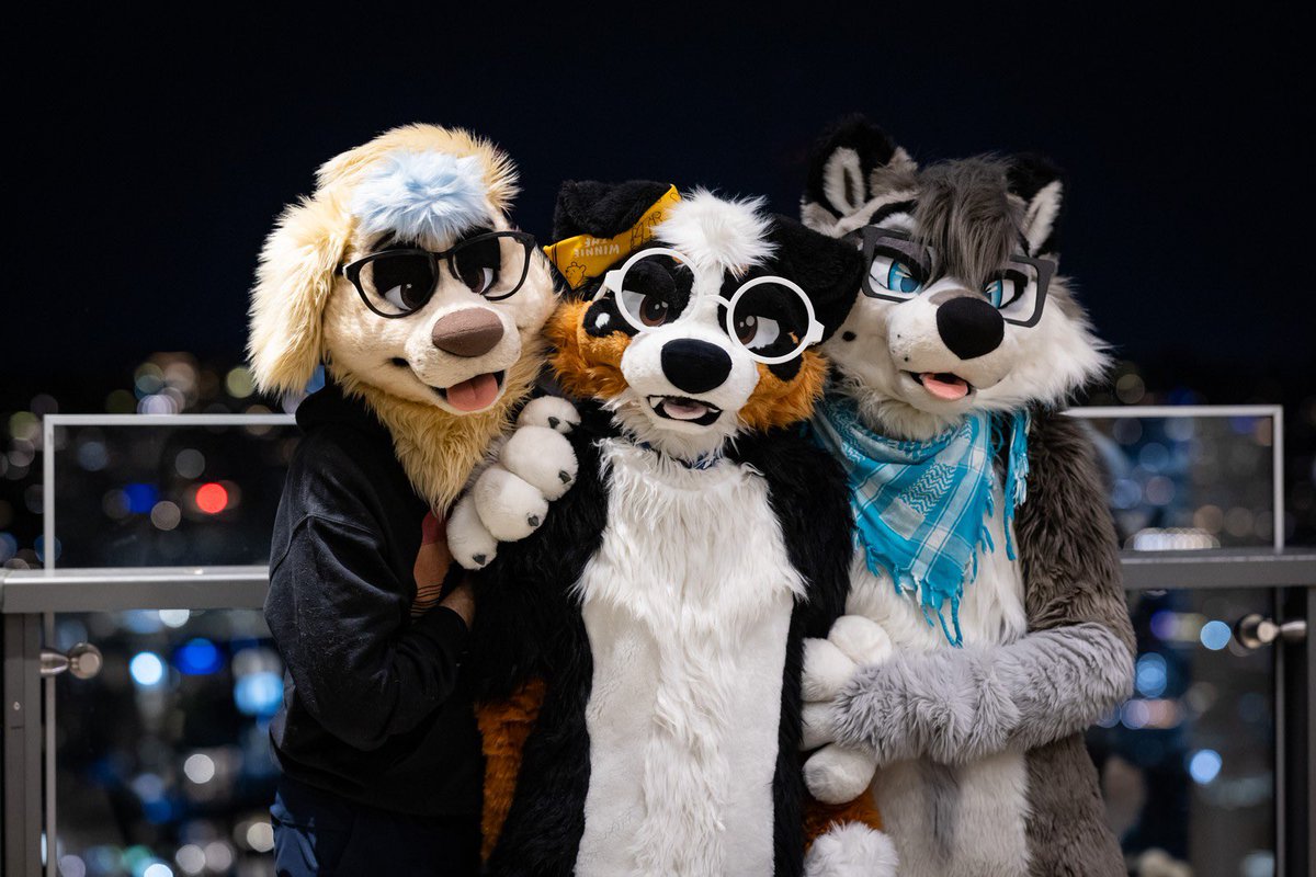 ColeWuff 🐺 🔜 FC26 tweet media