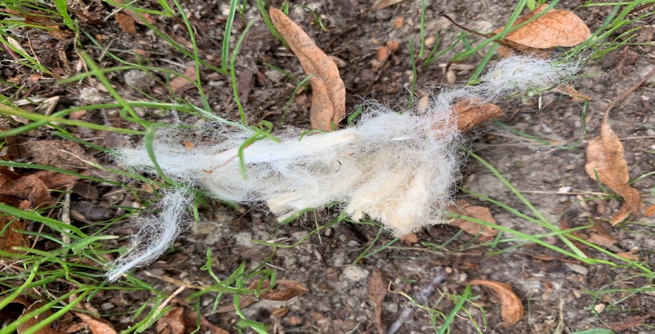 UBuffalo Engineering and Applied Sciences tweet media