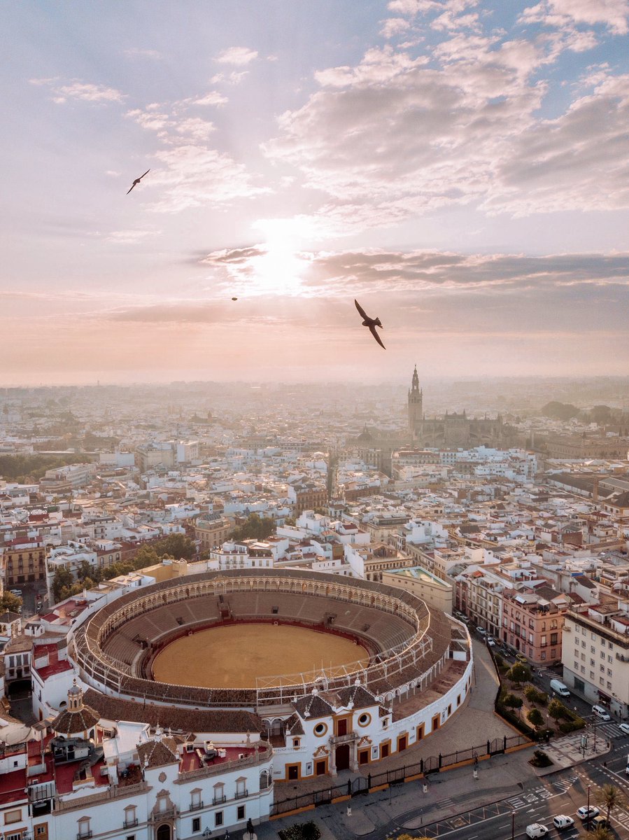 Sevilla no se puede explicar, hay que vivirla 💫
