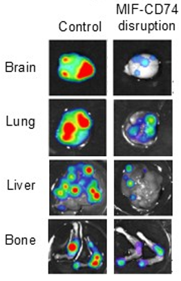 Jacob Insua-Rodríguez tweet media