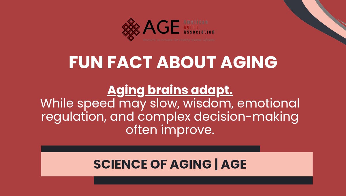 americanaging's tweet photo. Fun fact 🧠
Aging brains don’t just slow down — they adapt.
While speed may decline, skills like vocabulary, emotional regulation, and decision-making often improve with age.
#AgingScience #BrainHealth #GeroScience #ageplayer https://t.co/Y5YiOlYmuj