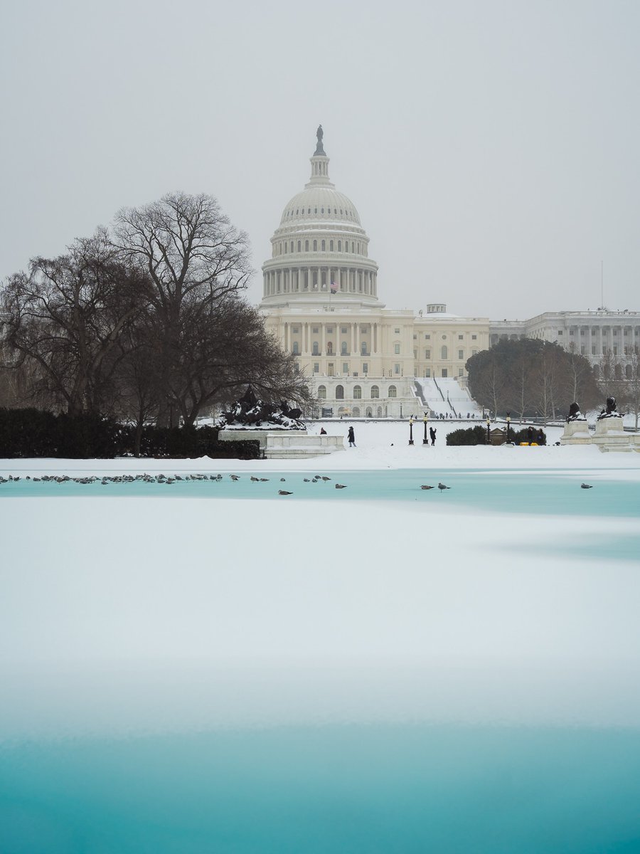 washingtondc's tweet image. Some of our favorite snowy photos from the most recent snowstorm. ❄️

Thank you to every DC photographer who braved the cold to capture the city! We love seeing DC through your lenses. 🩵

📸: minhp, alex.moldonado, coryandthecity, tinaka202 / IG #Only1DC