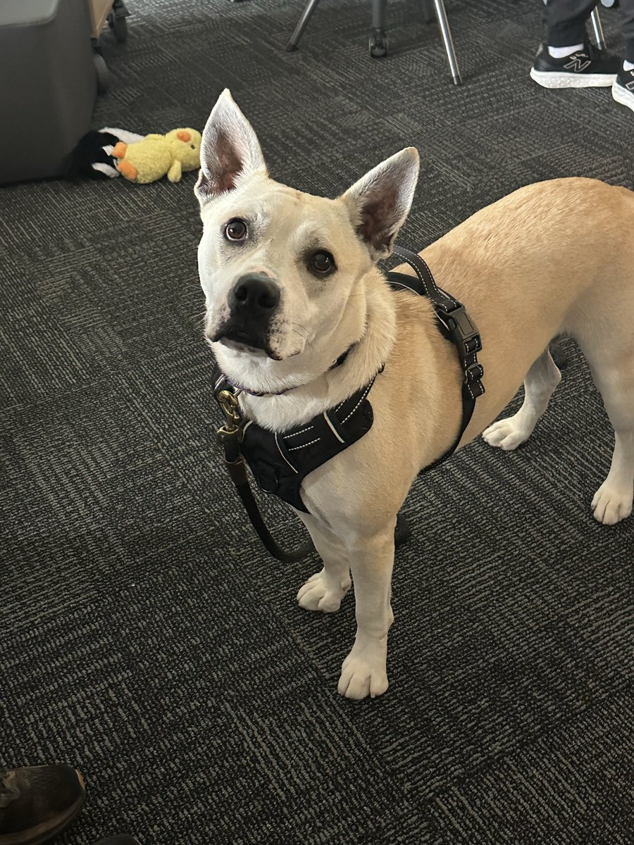 Jill Borg tweet media