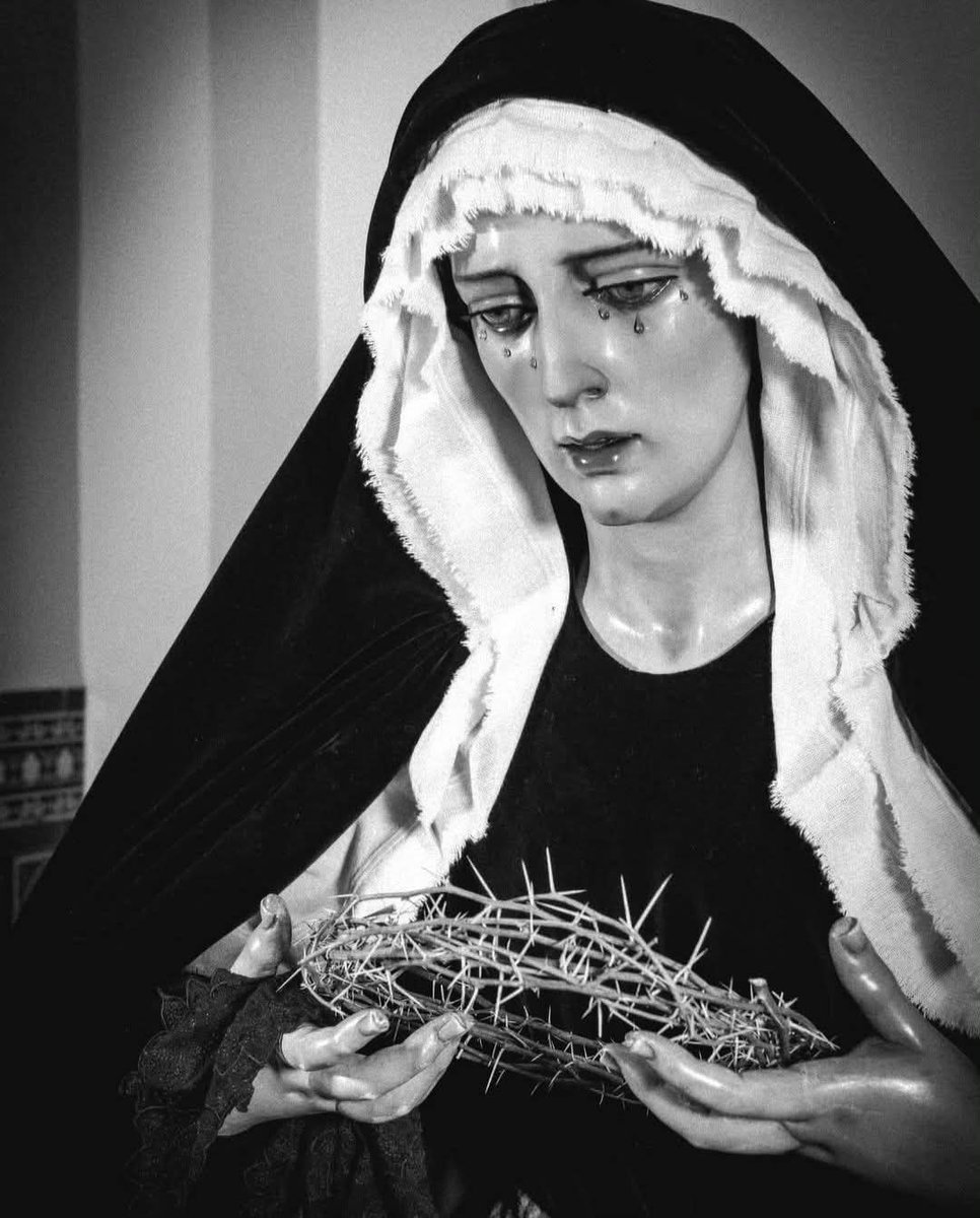 OBITUARIO 

Rogamos a Dios por el alma de Dña. Carmen, madre de monseñor Teodoro León, obispo auxiliar de Sevilla.

La Junta de Gobierno se une al dolor de su familia por tan lamentable pérdida y rogamos una oración por el eterno descanso de su alma.

Descanse en paz