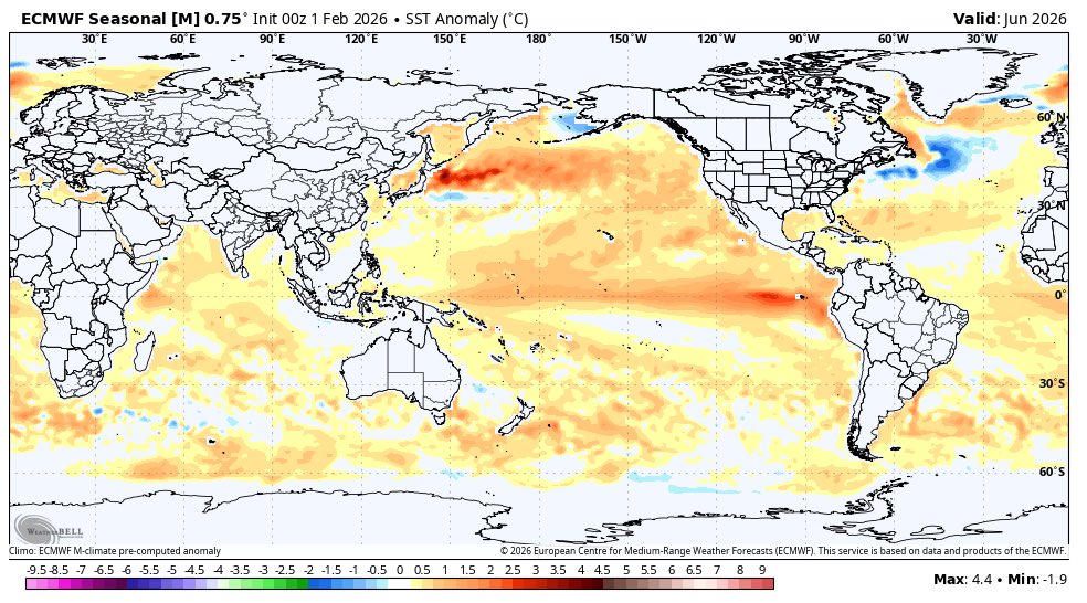 Eric Webb tweet media