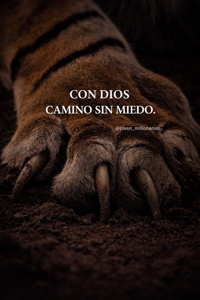 BANDIDOS (@bandidosfrasess) on Twitter photo 