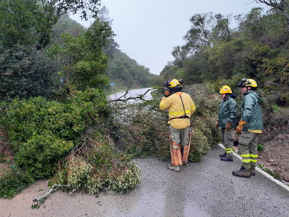 En #Andalucía están desplegados 1.200 efectivos del <a href="/Plan_INFOCA/">EMA INFOCA</a>, al que se suman agentes de <a href="/guardiacivil/">Guardia Civil</a>  y otros cuerpos que vigilan distintas zonas de riesgo

Intervenciones como limpieza de carreteras, drenaje y evacuación de viviendas se realizan debido a #BorrascaLeonardo