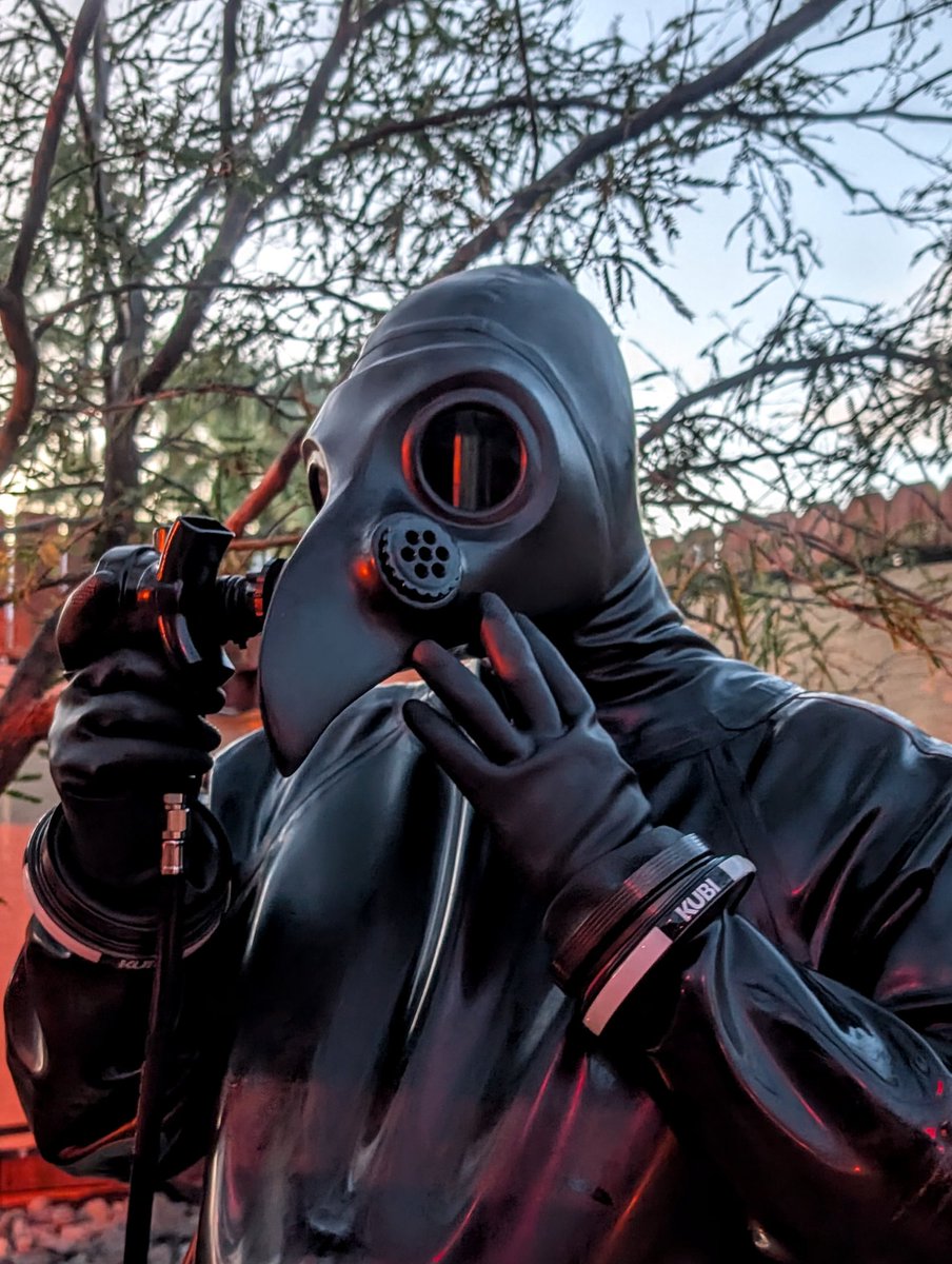 Squawk_the_Jay's tweet photo. Weird bird does bird things... More at 11!

Hood by Talonbound Creations https://t.co/1F4tB3Xdc2