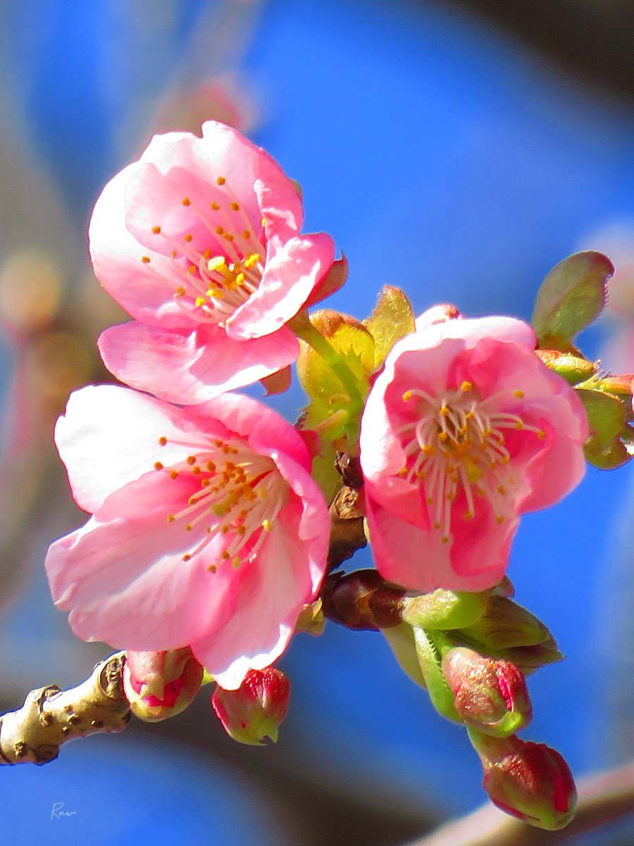 自己肯定感を育む
-
たとえどんな過去でも
それは今まで生きた証

背中を支えてくれるのは
自分が積み重ねた年輪

今まで生きてこれたのは
過去の自分があるから

自分に感謝を捧げよう
すべてが成長の証なんだ
-