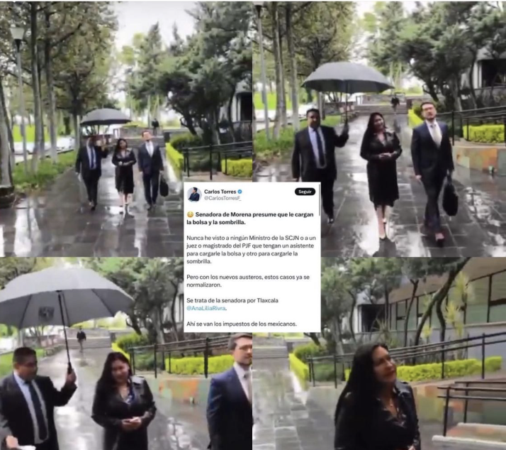 CarlosTorresF_'s tweet photo. 👞 Ministro del acordeón @HugoAguilarOrti usa empleados para que le limpien sus zapatitos.

💇‍♀️ Senadora de la 4T @JuanitaGuerra_M usa senado para que le tiñan el cabello.

☂️ Senadora de Morena @AnaLiliaRivra usa empleados para que le carguen la sombrilla y no se moje.

🐀😴 Noroña duerme en clase premier en vuelo de Europa.

🤮 La cuarta transformación es un cuento engaña bobos.