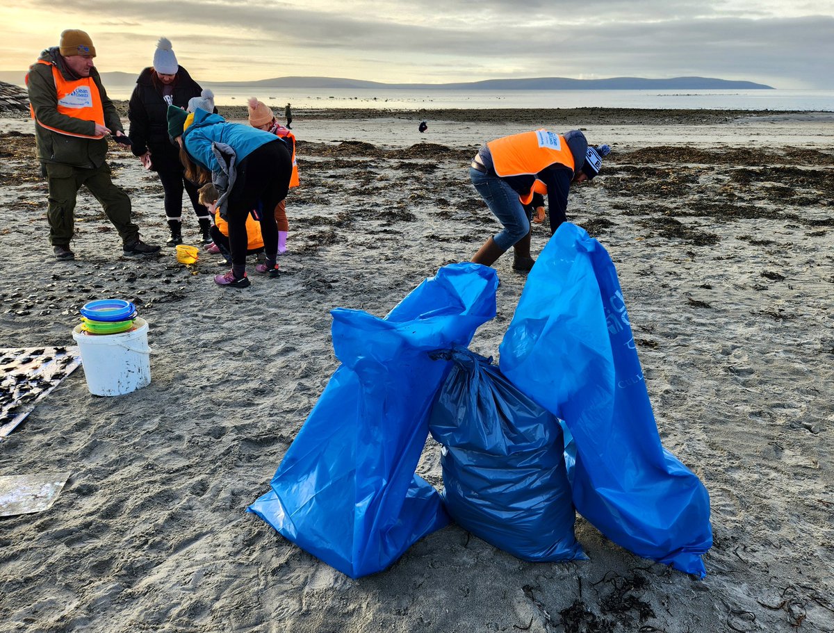 Sandlarks tweet media