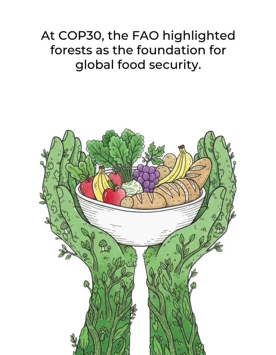Yes, the conflict between forests and agriculture is often a false dilemma.🌱
When they work together, they create regenerative systems that support the planet, the economy and the global food security.💚

Action Now: savesoil.org

#SaveSoil