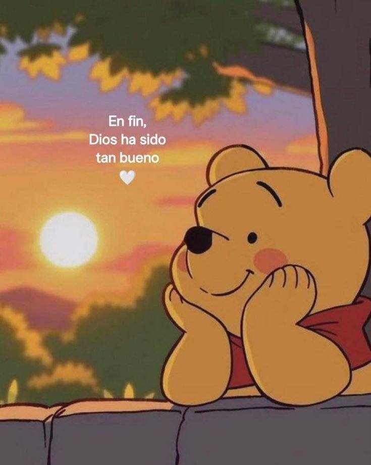 BANDIDOS (@bandidosfrasess) on Twitter photo 