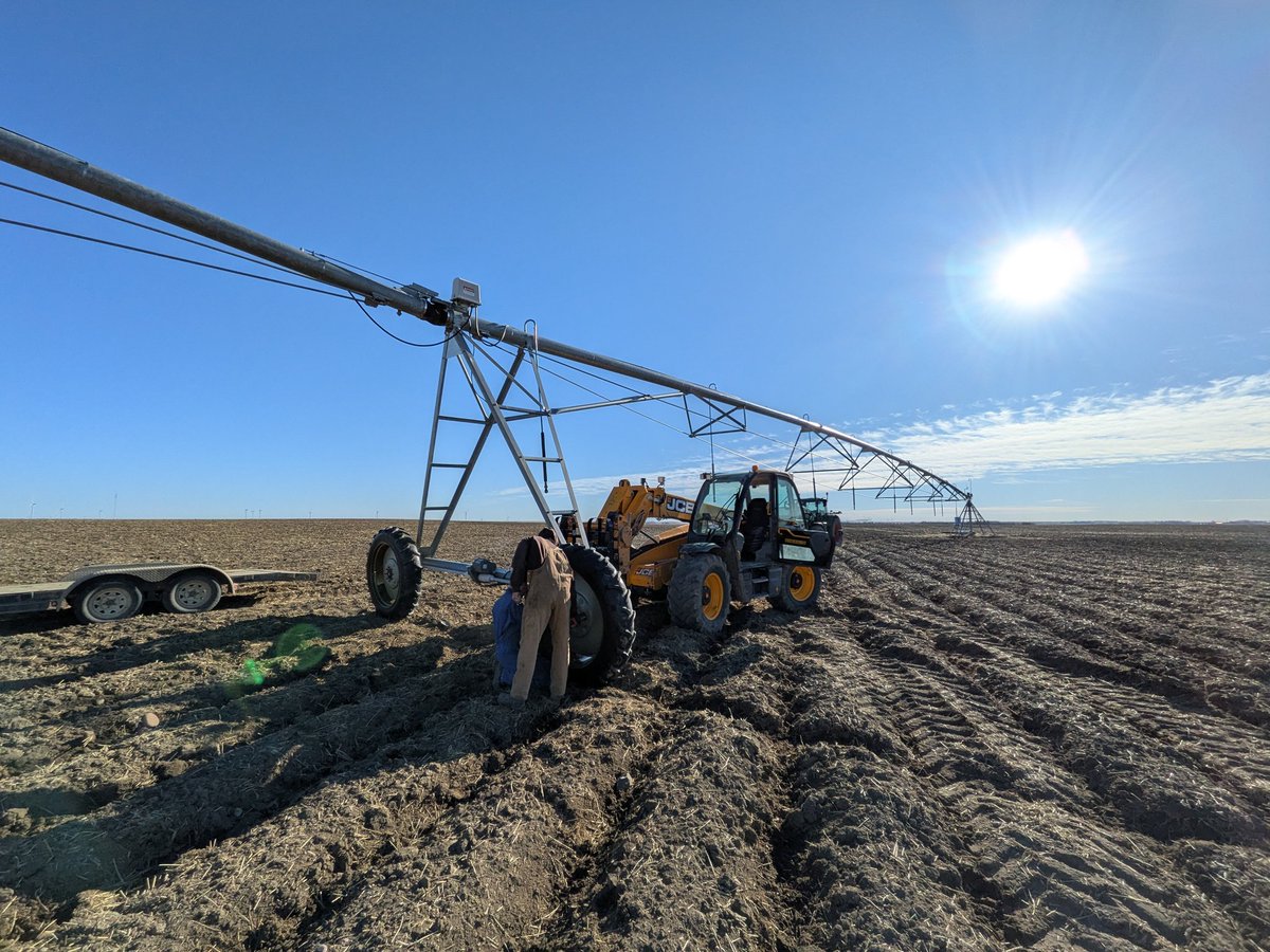 Will Müller tweet media