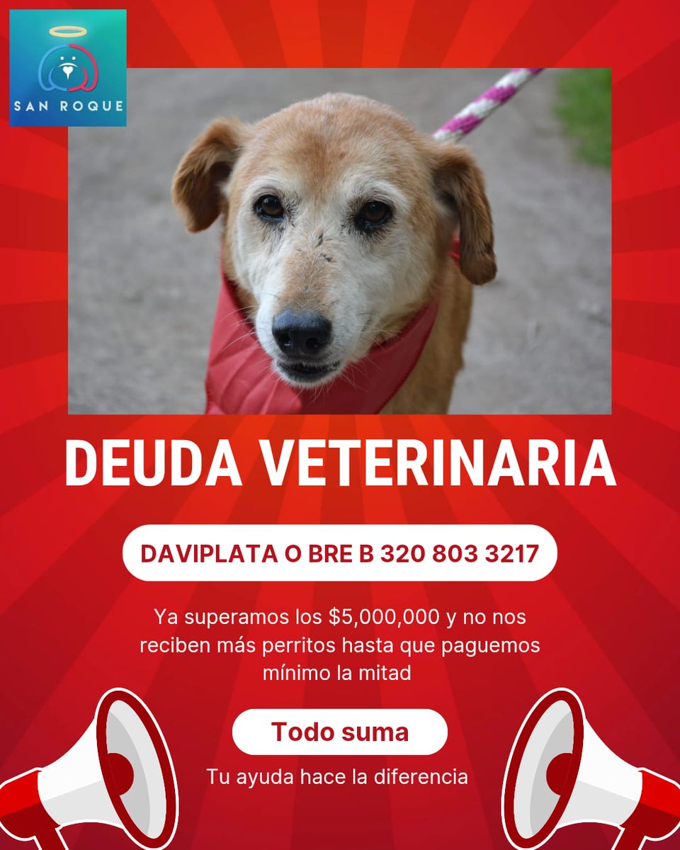 🚨🐾 URGENTE 🐾🚨

Nuestra deuda veterinaria ya superó los $5.000.000 y si no abonamos mínimo la mitad, dejarán de atender a los perritos que ya están en la fundación.

Tenemos cirugías programadas, vacunas pendientes, baños medicados y varios peluditos enfermos que necesitan