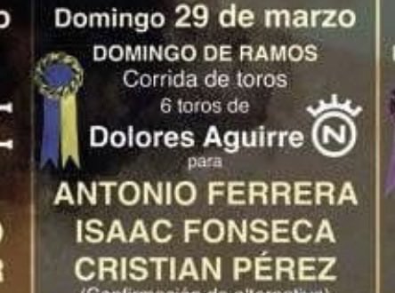 angellsn33's tweet photo. podrá gustar mas o menos, pero esto de antonio ferrera es de ser una autentica figura del toreo https://t.co/DUxya9lBoQ