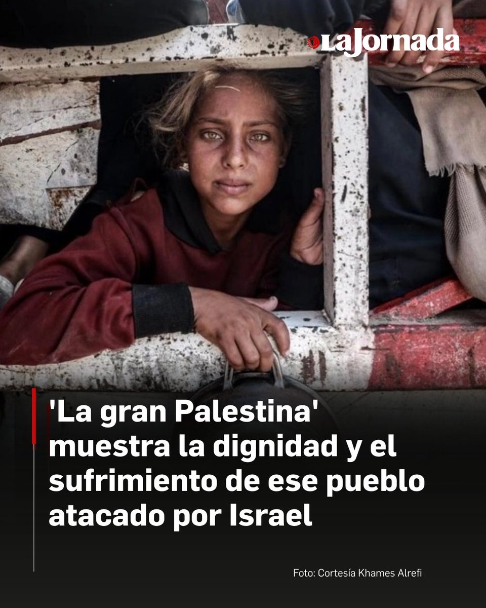 📽El documental 'La gran Palestina' es una estremecedora y potente apuesta por mostrar la dignidad y el sufrimiento de ese pueblo que a través de imágenes y su propia voz colectiva cuenta el periodo que inicia con el retorno de los pobladores de Gaza tras el cese el fuego de