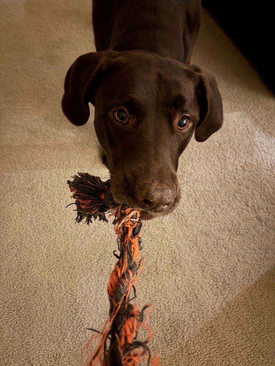 Here’s a tip: go do something FUN today &amp; everyday! You need a break. You might even need a drink! And I need someone to tug the other end of this rope. Have a DAY!! <a href="/emilymadelyn_/">emily dear</a>