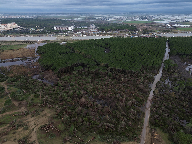 Nick Krasznavolgyi tweet media