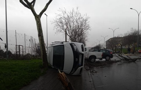 Nick Krasznavolgyi tweet media