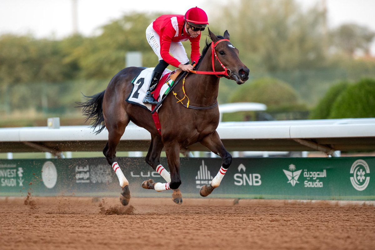 كل التوفيق أميرة الزمان يارب 
الامير المحبوب فيصل بن خالد❤️
🇸🇦🏆