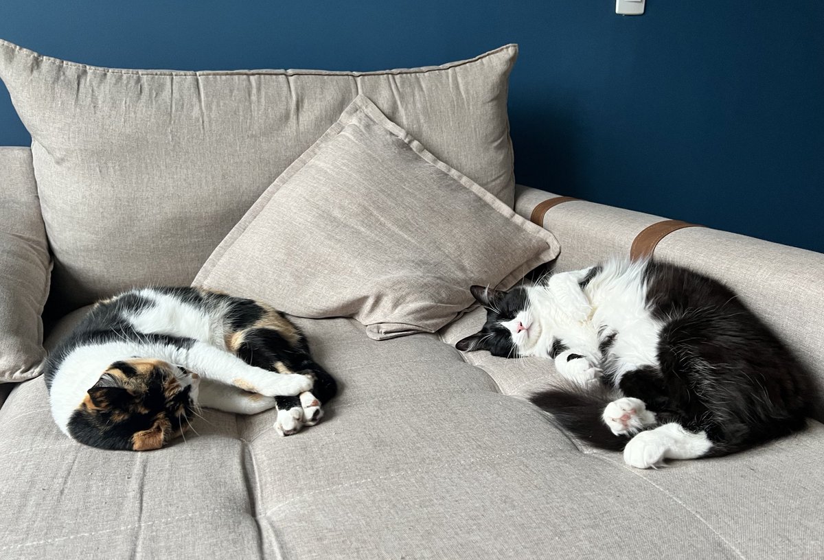 Guilherme Nunes tweet media