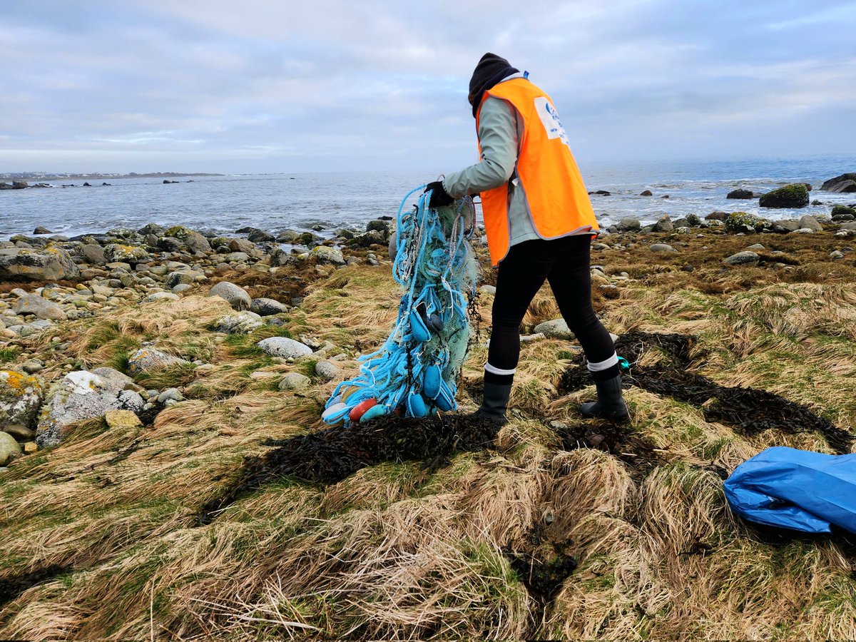 Sandlarks tweet media